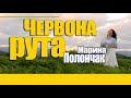 Червона рута (cover: Володимир Івасюк)