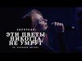 Эти цветы никогда не умрут (LIVE: VK Stadium, 2025)