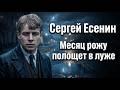 Месяц рожу полощет в луже
