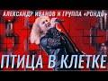 Птица в клетке (LIVE: Международный конкурс "Новая волна", 2015, из шоу: "Творческий вечер Валерия Леонтьева")
