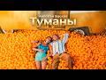 Туманы