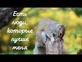 Есть люди, которые лучше меня