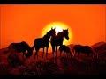 Ой, то не вечер… (cover: русская народная песня)