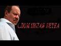 Сломанная ветка (cover: Маклаков Алексей)