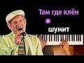 Там, где клён шумит (OST Сваты 5) караоке | PIANO_KARAOKE